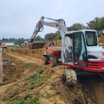 Mini bager takeuchi tb 290