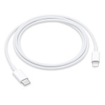 APPLE PUNJAC CHARGER USB-C TO LIGHTNING CABLE 1M