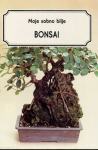 BONSAI - moje sobno bilje