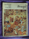 Bruegel I maestri del colore 1963
