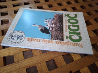 Čigoč - europsko selo roda Vladimir Pajtlar 2004