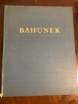 Monografija Bahunek, 1984.