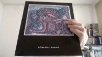 MONOGRAFIJA - DOMAGOJ GABRIĆ