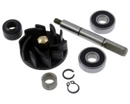 RMS Vodena pumpa Piaggio Hexagon LXT 180