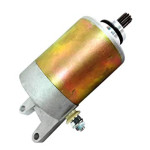 Alnaser Piaggio Bevrely, Vespa GTS 250, 300 RMS