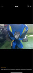 Gsxr 600 /750 wing kit