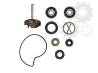 Pumpa vode PIAGGIO BEVERLY 250 RTS '04-05