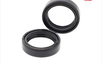 Semerinzi Ari 28x38x7