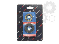 Set ležajeva radilice sa semerinzima YAMAHA MINARELLI