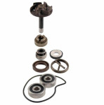Set za reparaciju vodne pumpe 250-300ccm I.E. Piaggio