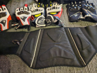 Moto pojas(bubrežnjak)