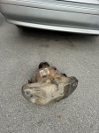 Bmw e39 zadnji diferencijal