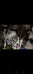 Bmw e46 320d alternator