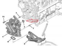 Brtva gumica pumpe ulja Peugeot Citroen  1.6 hdi