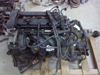 ford focus  .motor 1.4 16v   .1.6 16v