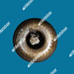 PRETVARAČ MOMENTA/WANDLER RENAULT LAGUNA II 2.2 DCI 00-07 3200043A060