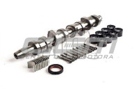 Set bregaste osovine 1.9 TDI 038109101R