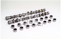Set bregaste osovine 2.5 dCi  130201AT0C, 130204KV0A, 130204KV0C