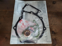 Set brtva za vodenu pumpu A5422000701 (5422000701)