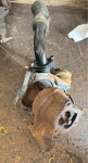 Turbina Fiat, Opel, Citroen 1.3 cdti, 54359700005