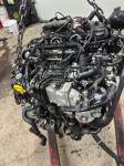 Vw 1.6tdi 85kw ddy motor