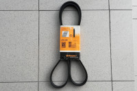 Kanalni remen Continental CONTITECH