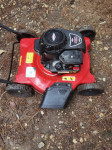 Briggs&Stratton 450