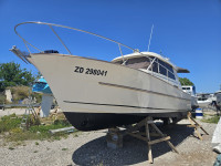 Acm 31