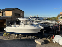 ARVOR 210