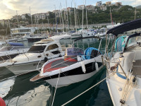 BARRACUDA 595 SD i Suzuki DF 140