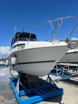 Bayliner Ciera 2355 motorni brod