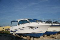 Bluestar Holiday - 720