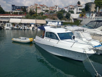 Bluestar Holiday 720