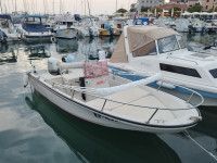 Boston whaler dauntless 15