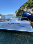 Boston Whaler Revenge 21