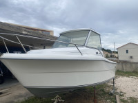 Sessa 550 Cabin Novi Motor 70HP Yamaha