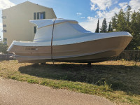 Calafuria Scorpionero 950 kit