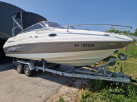 Chaparral 215+Volvo Penta 225GXi+trailer