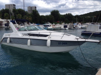 Chaparral Signature 290