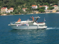 Coronet 26 family sport