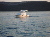 Dalmatinka 5,90