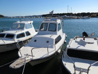 Dalmatinka 590 *SUPER PRILIKA*