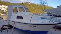 Dalmatinka VEN-590