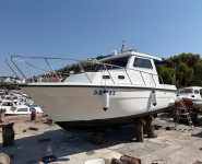 DAMOR 800