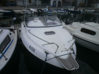 GLISER GALIA 560