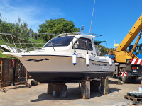 Intermare Veglitura 600