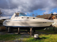 ELAN KIM 30 POWER HARD TOP