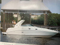 Motorni brod Sea Ray 315 DA sundancer