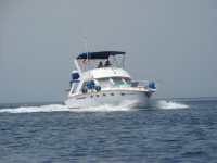 Motoryacht mit Flybridge AKCIJA!!!POVOLJNO!!!!!!!