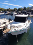 Ocqueteau 575